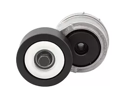 GERGİ KASNAĞI, FAN