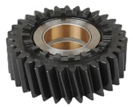 BEYİN DİŞLİSİ (BURÇLU) 24T