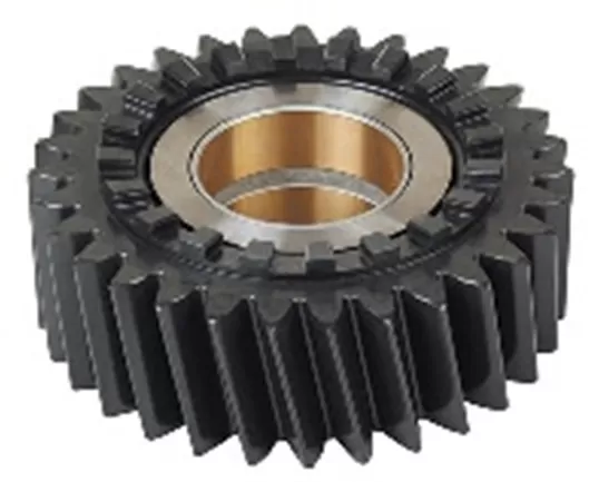 BEYİN DİŞLİSİ (BURÇLU 24 T)