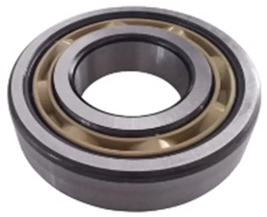 ŞANZIMAN ARKA GÖVDE BİLYASI