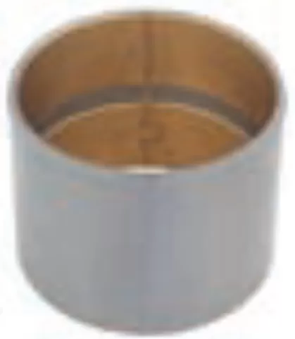 BEYİN DİŞLİ BURCU