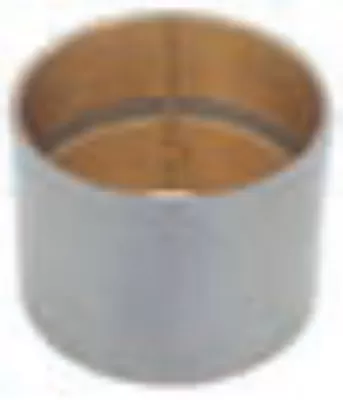 BEYİN DİŞLİ BURCU