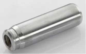 FREN BALATASI PİMİ